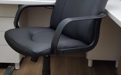 Фіджи GTP, шкірзам 2900 грн